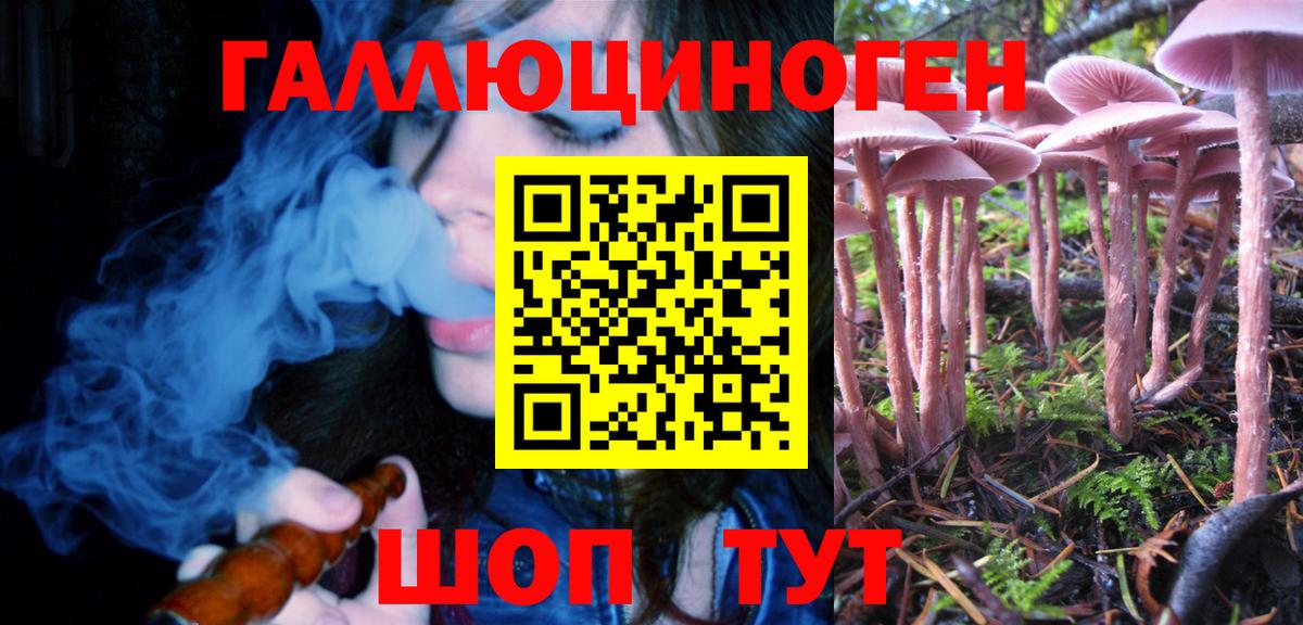 Псилоцибиновые грибы Psilocybe  Вход с VPN  Псилоцибиновые грибы Magic Shrooms  Кулебаки 